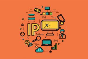 Hướng dẫn kiểm tra IP máy in